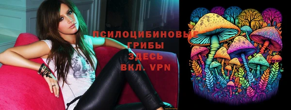 дживик Лихославль