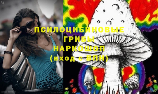 дживик Лихославль