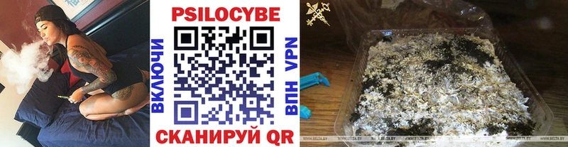 Псилоцибиновые грибы Psilocybe  Шиханы 