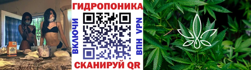 Конопля индика  нарко площадка как зайти  Шиханы 